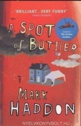 A Spot of Bother (ISBN: 9780099506928)