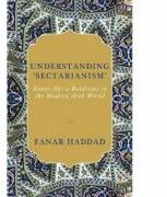 Understanding 'Sectarianism' - Fanar Haddad (ISBN: 9781787382060)