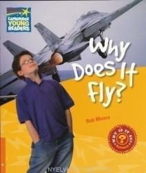 Why Does It Fly? Level 6 Factbook - Rob Moore (ISBN: 9780521137478)