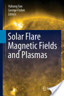 Solar Flare Magnetic Fields and Plasmas (2012)
