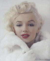 Milton's Marilyn - Marilyn Monroe, Milton H Greene, Joshua Greene (2012)