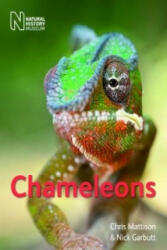 Chameleons (2012)