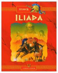 Iliada (ISBN: 9789731283180)