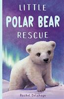 Little Polar Bear Rescue (ISBN: 9781788951869)