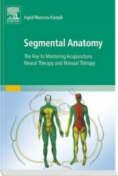 Segmental Anatomy - Ingrid Wancura-Kampik (2012)