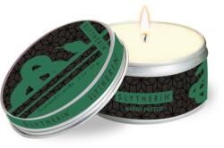Harry Potter Slytherin Scented Tin Candle (ISBN: 9781682984079)
