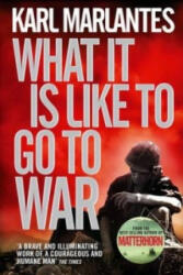 What It Is Like To Go To War (2012)