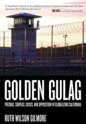 Golden Gulag: Prisons, Surplus, Crisis, and Opposition in Globalizing California (2006)