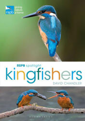Rspb Spotlight Kingfishers (ISBN: 9781472987617)