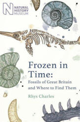 Frozen in Time - Rhys Charles (ISBN: 9781409197966)