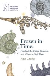 Frozen in Time (ISBN: 9781409197966)