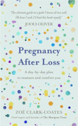 Pregnancy After Loss - Zoe Clark-Coates (ISBN: 9781409195948)