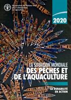 La situation mondiale des peches et de l'aquaculture 2020 - La durabilite an action (ISBN: 9789251327555)