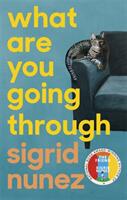 What Are You Going Through - 'A total joy - and laugh-out-loud funny' DEBORAH MOGGACH (ISBN: 9780349013664)