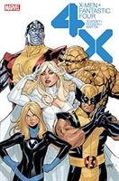 X-Men/Fantastic Four 4X - CHIP ZDARSKY (ISBN: 9781846533839)