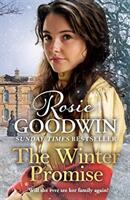 Winter Promise - From the Sunday Times bestselling author (ISBN: 9781838772215)