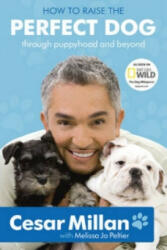 How to Raise the Perfect Dog - Cesar Millan (ISBN: 9780340993071)