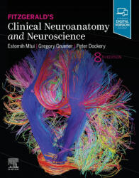 Fitzgerald's Clinical Neuroanatomy and Neuroscience - Mtui, Gruener, Dockery (ISBN: 9780702079092)