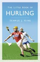 The Little Book of Hurling (ISBN: 9780750994996)