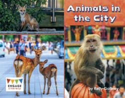 Animals in the City (ISBN: 9781474799478)