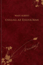 CSILLAG AZ ÉJSZAKÁBAN (ISBN: 9789633540046)