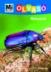 Rovarok (2020)