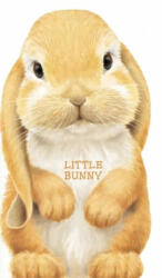 Little Bunny - L. Rigo (ISBN: 9780764163227)