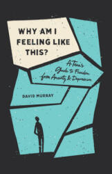 Why Am I Feeling Like This? (ISBN: 9781433567186)