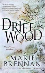 Driftwood (ISBN: 9781616963460)