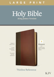 KJV Large Print Thinline Reference Bible Filament Enabled Edition (ISBN: 9781496447166)