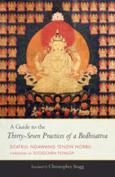 Guide to the Thirty-Seven Practices of a Bodhisattva - Ngawang Tenzin Norbu (ISBN: 9781559394918)
