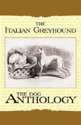 The Italian Greyhound - Various (ISBN: 9781408631799)
