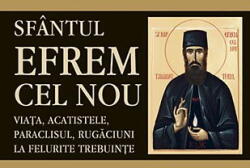 Sfantul Efrem Cel Nou, - Editura Sophia (ISBN: 9789731363004)