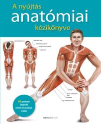 A nyújtás anatómiai kézikönyve (2020)