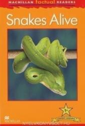 Macmillan Factual Readers: Snakes Alive - L. Carroll (ISBN: 9780230431997)