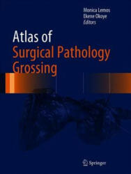 Atlas of Surgical Pathology Grossing - Monica B. Lemos, Ekene Okoye (ISBN: 9783030208387)