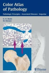 Color Atlas of Pathology - Riede, U. -N (ISBN: 9783131277817)