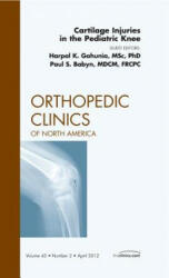 Cartilage Injuries in the Pediatric Knee, An Issue of Orthopedic Clinics - Harpal Gahunia, Paul Babyn (ISBN: 9781455739059)