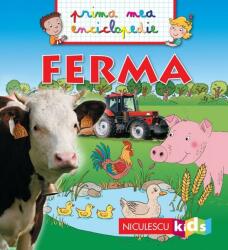 Ferma (ISBN: 9786063805004)