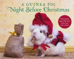 Guinea Pig Night Before Christmas - Tess Newall (ISBN: 9781526613561)