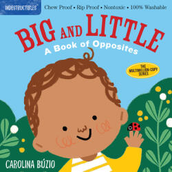 Indestructibles: Big and Little: A Book of Opposites (ISBN: 9781523511143)