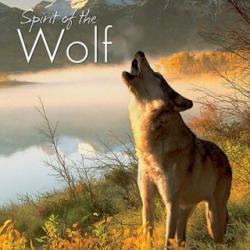 Spirit of the Wolf - Willow Creek Press (ISBN: 9781607554516)