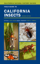 Field Guide to California Insects - Joyce Gross, Daniel Rubinoff (ISBN: 9780520288744)