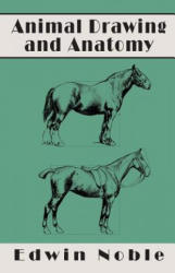 Animal Drawing and Anatomy - Edwin Noble (ISBN: 9781528705035)
