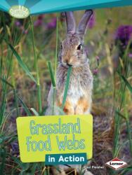 Grassland Food Webs in Action (ISBN: 9781467715546)
