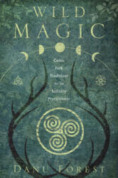 Wild Magic (ISBN: 9780738762678)
