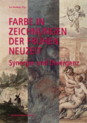 Farbe in Zeichnungen der Frühen Neuzeit - Iris Brahms (ISBN: 9783731907725)