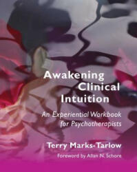 Awakening Clinical Intuition - Terry Marks-Tarlow (ISBN: 9780393708684)