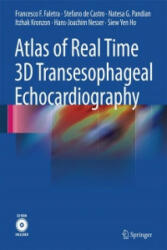 Atlas of Real Time 3D Transesophageal Echocardiography - Francesco Faletra (2010)