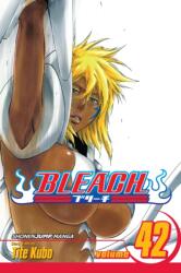 Bleach, Vol. 42 - Tite Kubo (2012)